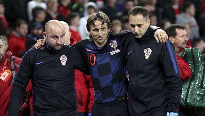 单一球星的 单一球星的