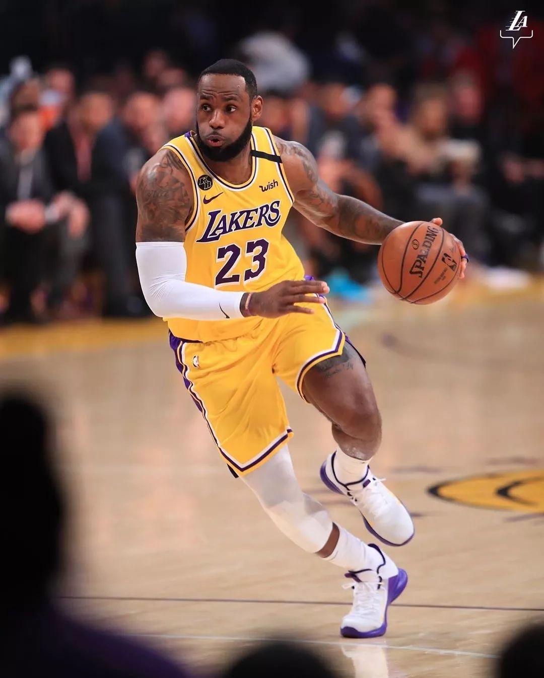 水户蜀葵 水户蜀葵